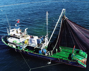 Hamsi avı için tekneler Gürcistan’a gitti