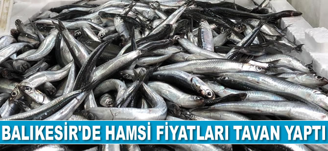Balıkesir’de hamsi fiyatları tavan yaptı