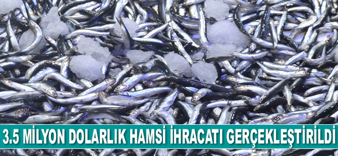 Doğu Karadeniz’den 3.5 milyon dolarlık hamsi ihracatı gerçekleştirildi