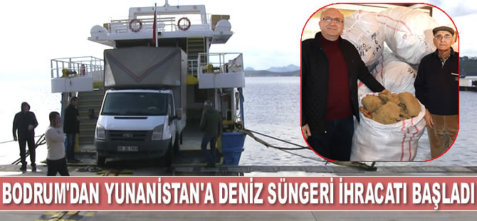 Bodrum'dan Yunanistan'a deniz süngeri ihracatı başladı