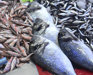 Balık çeşitliği arttı, fiyatlar yükseldi