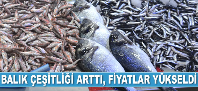 Balık çeşitliği arttı, fiyatlar yükseldi
