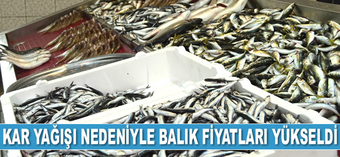 Kar yağışı nedeniyle balık fiyatları yükseldi