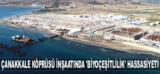 1915 Çanakkale Köprüsü inşaatında biyoçeşitliliğe önem veriliyor