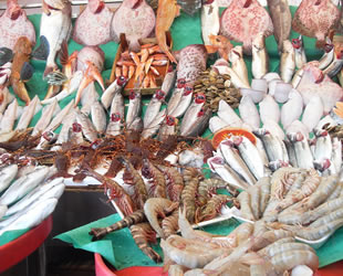 2018 su ürünleri ihracatı, yüzde 13 arttı