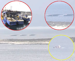 Bodrum’da firari çupra ve levrek takibi başladı