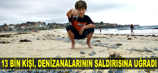 Avustralya’da 13 bin kişi, denizanalarının saldırısına uğradı