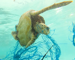 Türkiye'den Akdeniz'e günde 144 ton atık plastik boşaltılıyor