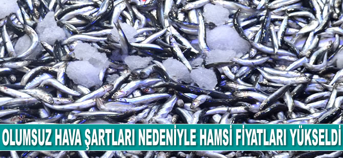 Olumsuz hava şartları nedeniyle hamsi fiyatları yükseldi