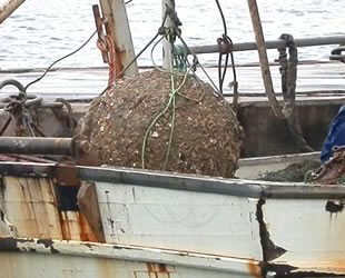 Foça'da balıkçı ağına takılan mayın incelemeye alındı