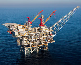 7 ülkenin katılımıyla Doğu Akdeniz Gaz Forumu kuruluyor