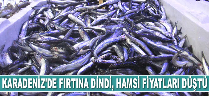 Karadeniz'de fırtına dindi, hamsi fiyatları düştü