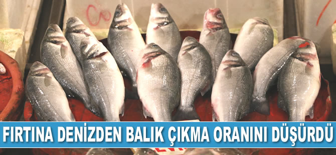 Mersin’de denizden balık çıkma oranı düştü