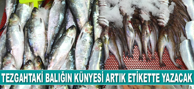 Tezgahtaki balığın künyesi artık etikette yazacak