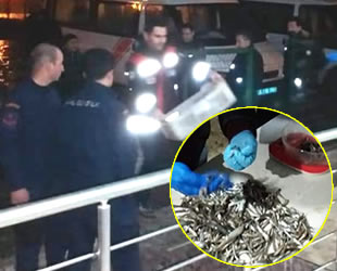 Samsun’da küçük boyda hamsi avlayan balıkçılara ceza yağdı