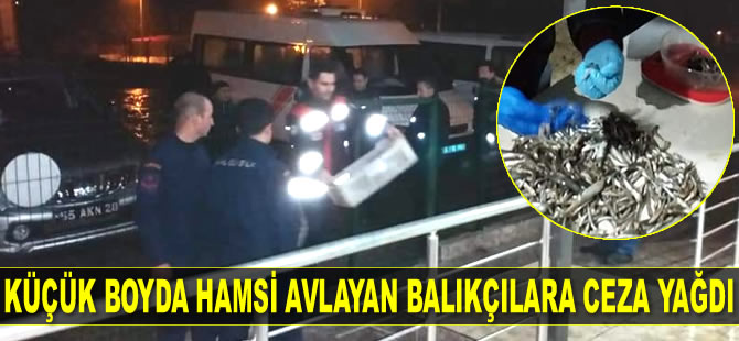 Samsun’da küçük boyda hamsi avlayan balıkçılara ceza yağdı