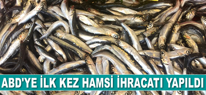 ABD'ye ilk kez hamsi ihracatı gerçekleştirildi