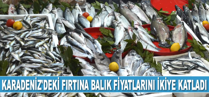 Karadeniz'deki fırtına balık fiyatlarını ikiye katladı