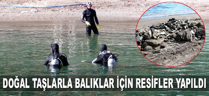 Denizden toplanan doğal taşlarla balıklar için resifler yapıldı