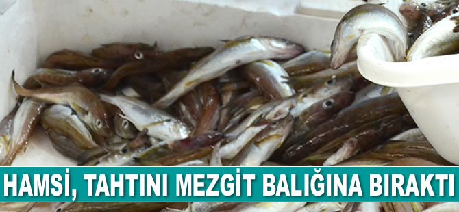 Hamsi, tahtını mezgit balığına bıraktı