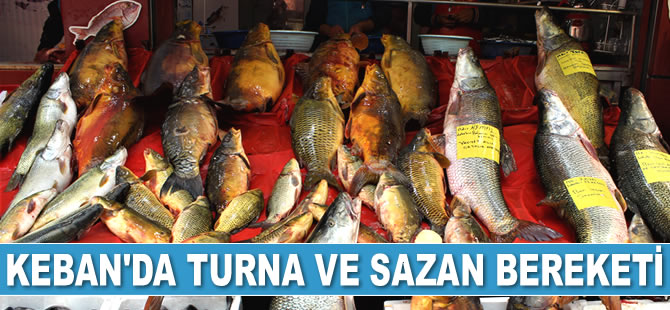 Keban Baraj Gölü’nde turna ve sazan bereketi yaşanıyor