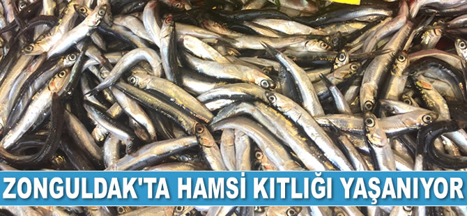 Zonguldak'ta hamsi kıtlığı yaşanıyor