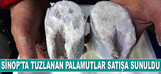 Sinop'ta tuzlanan palamutlar satışa sunuldu