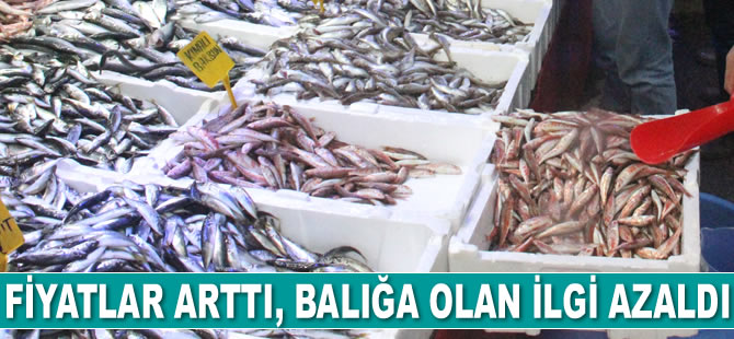 Balık fiyatları arttı, ilgi azaldı