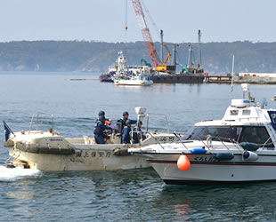 Japonya, 1 Temmuz'da balina avına başlayacak