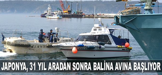 Japonya, 1 Temmuz'da balina avına başlayacak