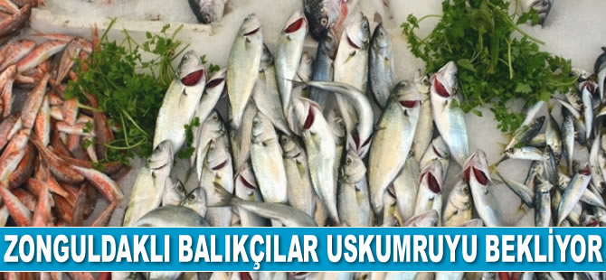 Zonguldaklı balıkçılar uskumruyu bekliyor