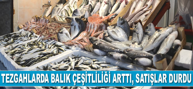 Tezgahlarda balık çeşitliliği arttı, satışlar durdu