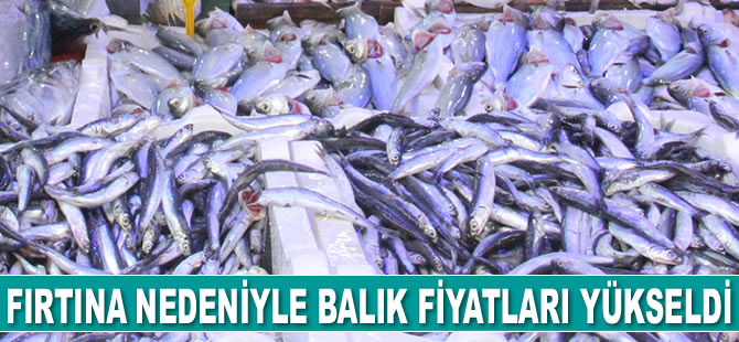 Fırtına nedeniyle balık fiyatları yükseldi