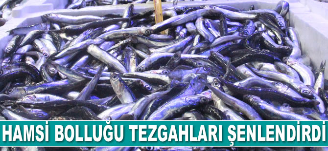 Hamsi bolluğu tezgahları şenlendirdi