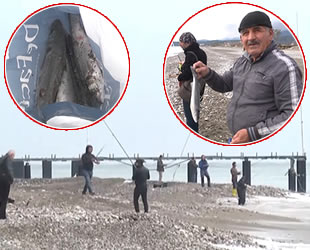 ‘Firari levrekler’, amatör balıkçıların yüzünü güldürdü