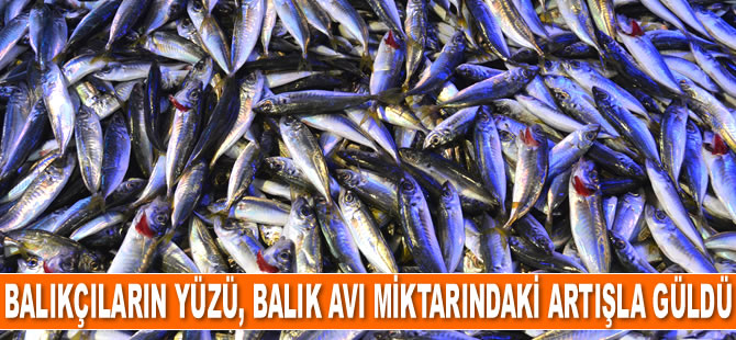 Balık avı miktarındaki artış, balıkçıların yüzünü güldürdü