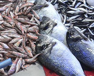 Tezgahlarda balık çeşitliliği arttı, fiyat düştü