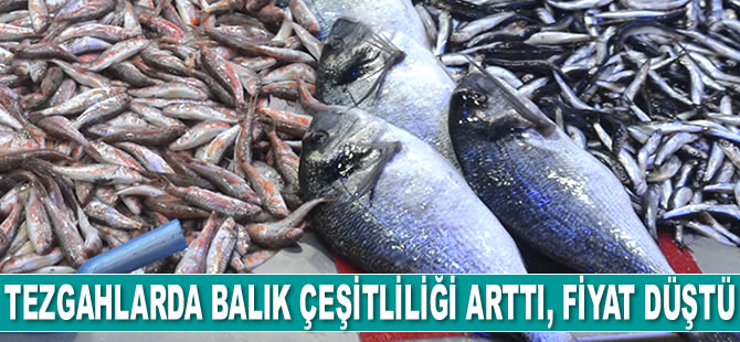 Tezgahlarda balık çeşitliliği arttı, fiyat düştü