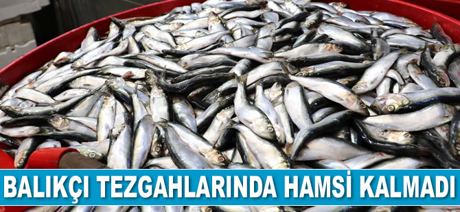Balıkçı tezgahlarında hamsi kalmadı