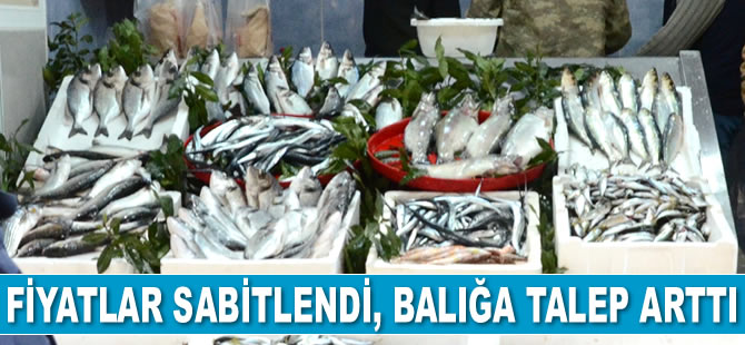 Fiyatlar sabitlendi, balığa talep arttı