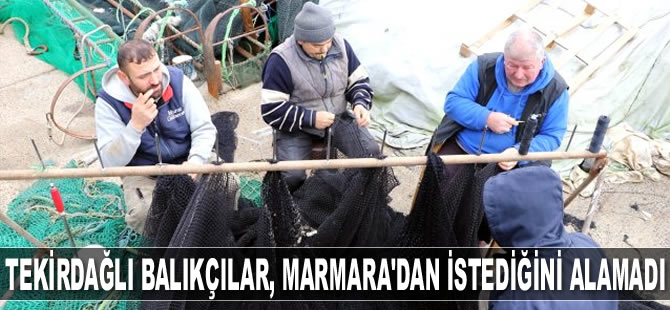 Tekirdağlı balıkçılar, Marmara'dan istediğini alamadı