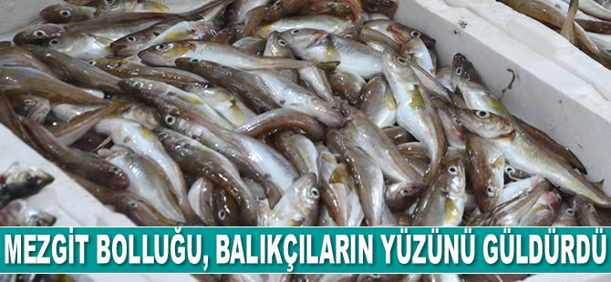 Mezgit bolluğu, balıkçıların yüzünü güldürdü