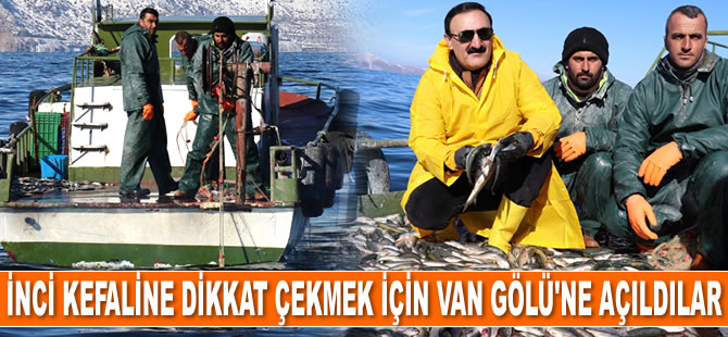 İnci kefaline dikkat çekmek için Van Gölü'ne açıldılar