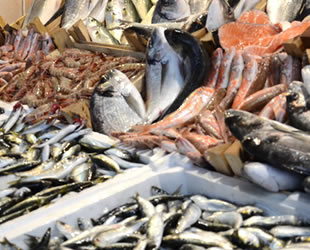 Tezgahta balık çeşidi çoğaldı, satışlar azaldı