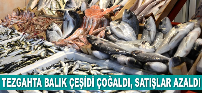 Tezgahta balık çeşidi çoğaldı, satışlar azaldı