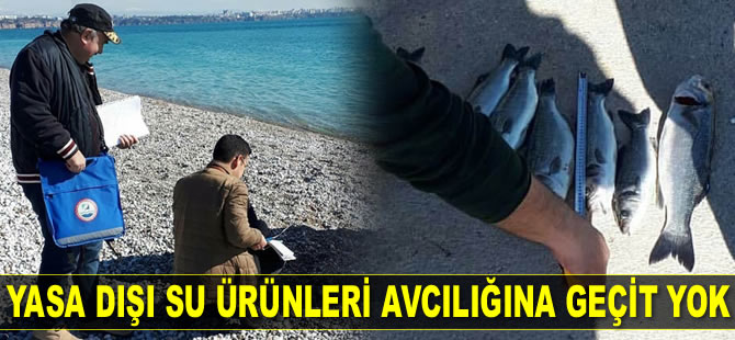 Antalya'da yasa dışı su ürünleri avcılığına ceza yağdı