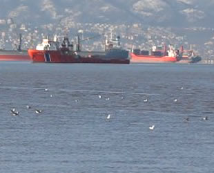 Denizi kirleten 460 gemiye 17,5 milyon lira ceza kesildi