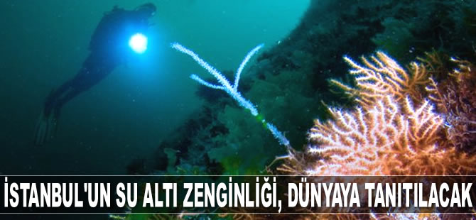 İstanbul'un su altı zenginliği, dünyaya tanıtılacak