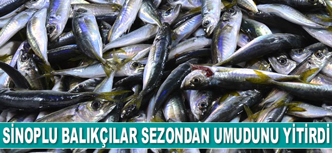 Sinoplu balıkçılar sezondan umudunu yitirdi