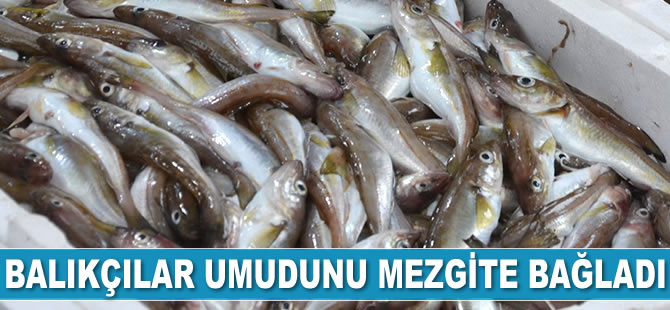 Balıkçılar umudunu mezgite bağladı
